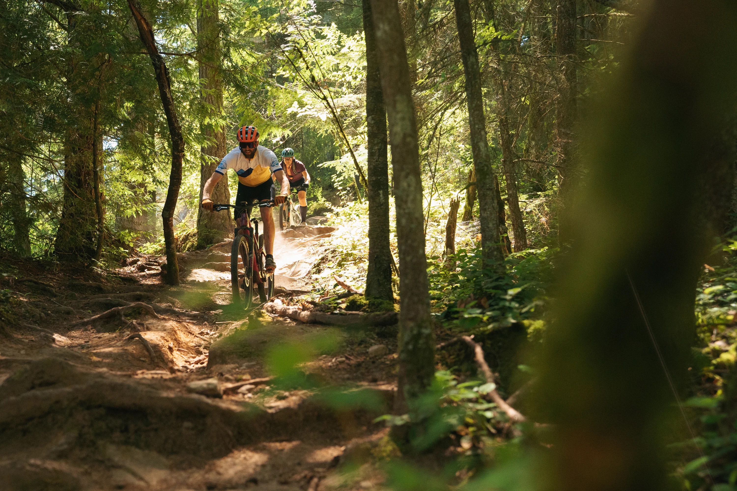 A rider descends a rooty trail in the woods